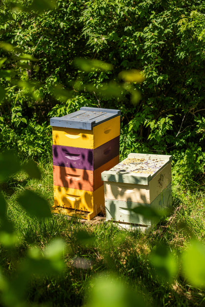 Only at Brisa’s Nail Salon - assorted lip balms Messner Bee Farms